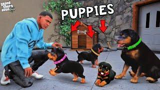 Franklin Found Chop Secret Puppies In GTA 5 | Shinchan and Chop GTA 5