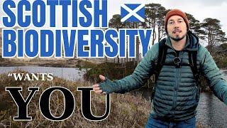 How you can help Scottish wildlife conservation - deadline 14th December!