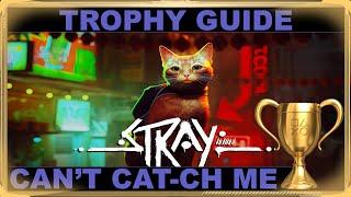 Stray - Can't Cat-ch Me - Trophy / Achievement Guide