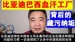 翟山鹰：比亚迪巴西血汗工厂背后的藏污纳垢丨比亚迪中国奴工