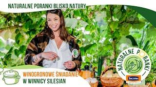 Śniadanie w Winnicy Silesian z Adrianą Marczewską | Naturalne Poranki Blisko Natury