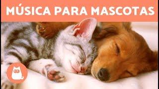 Música para Relajar Perros y Gatos  - ¡Más de 2 Horas de Música Relajante!