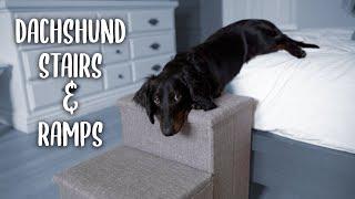Do dachshunds NEED dog stairs and ramps?