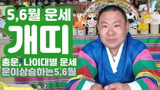 [띠별 운세]5,6월 개띠 운세 매매금전 사업 연애 직업 이동 변화 부적 전문 - 당진 무지개 동자 01046598019#띠별운세 #사주