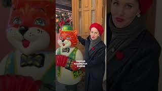 Почему в Казани так много котов?!