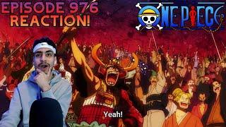 One Piece Episode 976 Reaction! BACK TO THE FUTURE,PLUS REACTION TO NEW OPENING VISUAL!