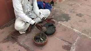 Chamunda Mata Mandir, Ajmer, Rajasthan. Must Visit Place With Friends and Family.