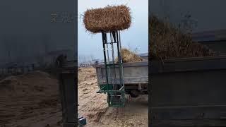 Truck machinery#electric hoist#a good helper for farmers#mingqing #9.8