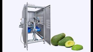 KRONEN Robot Avocado Line for automatic halving, pitting and peeling