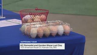 From renovations to rental chickens: KC Remodel and Garden Show has it all