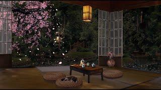 CHERRY BLOSSOM SPRING AMBIENCE : A Raining Evening in a Zen Garden with Fluttering Petals 