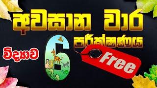 Grade 6 Science - අවසාන වාර පරීක්ෂණය (6 ශ්‍රේණියේ සියලුම පාඩම් ආවරණය වන පරිදි සකස් කොට ඇත.