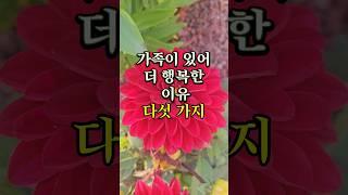 가족이 있어 더 행복한 이유 다섯 가지 #삶의지혜 #명언 #좋은글 #인간관계조언 #인생조언