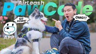 PawCode AirLeash with GPS: The Future of Dog Walking?