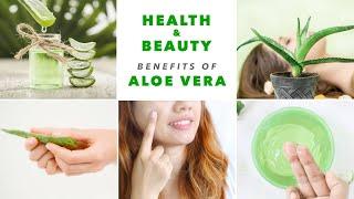 Unbelievable Beauty Secrets of Aloe Vera