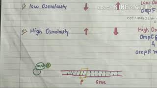 Response to Osmotic Pressure & Temperature - Regulation of Porin Synthesis