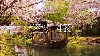 Top 20 Breathtaking Spring Views in Kyoto You Must Visit - JAPAN in 4K