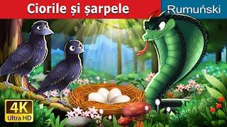 Ciorile și șarpele | The Crows and the Serpent in Romanian | @RomanianFairyTales