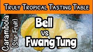 Truly Tropical Tasting Table- 'Fwang Tung' vs 'Bell' Carambola (Star Fruit)