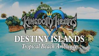 Destiny Islands | Tropical Beach Ambience: Upbeat Kingdom Hearts Music for Relaxation & Happiness