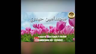 Pashto Nazam/Tarana/Mohammad Amin Haidari./محمد امین حیدری