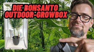 Die Outdoor-Growbox von Bonsanto.