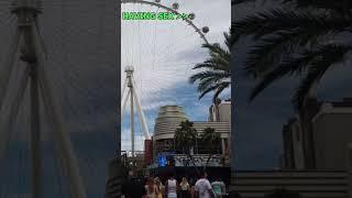 Unveiling the Secrets of the High Roller in Las Vegas #vegaswins #letsgiveitaspin #slotlizards