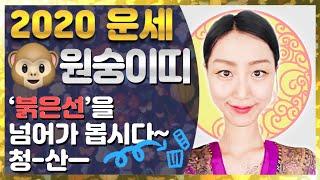 원숭이띠 2020 신년운세  직업운 금전운 애정운 이동운 건강운 행운팁 수호신 + 수호부적