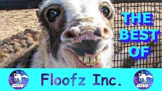 The Best of Floofz Inc. Last 60 Videos I Part 3!