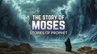 The Story of Prophet Musa (A.s) & Parting Sea | The Prophet Stories | #moses #prophet