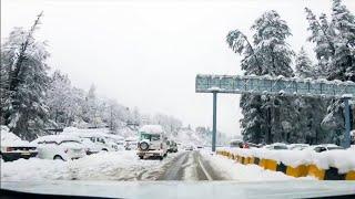 Snowfall in Sissu | Manali || Rohtang | Hampta