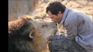 Circle of Life (The Lion King) - Dedicated to the Hero Kevin Richardson