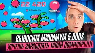 TOMATO - ХОЧЕШЬ РЕАЛЬНО ЗАРАБОТАТЬ НА ТАПАЛКЕ ТАПАЙ ПОМИДОРЫ