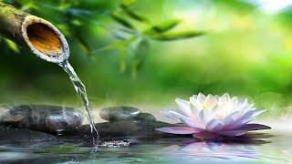 Relaxing Music with Water Sounds Meditation - Bamboo Water Fountain Healing - Sleep
