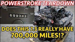 700,000 Mile 7.3 Powerstroke Teardown! Does This REALLY Have This Many Miles?