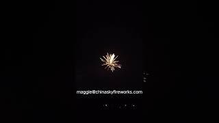 30mm Single Shot #​ChinaskyPyrotechincs ​#Maggiechiu #singleshot #fireworksfactory #pyrotechnics