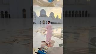 Shaikh Zahid Mosque - Abu Dhabi | Dubai | Vlogs #shorts