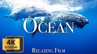 OCEAN 4K - A Relaxing Film for Ambient TV in 4K Ultra HD