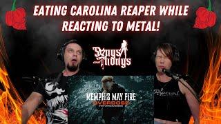 Memphis May Fire Overdose REACTION by Songs and Thongs During Carolina Reaper Challenge