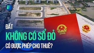 Đất không có sổ đỏ có được phép cho thuê không? | VTC1