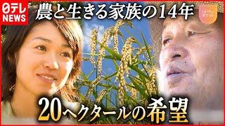 【家族の１４年】困難乗り越え”米作り”追求する女性  20ヘクタールの希望『Nドキュポケット』　NNNセレクション