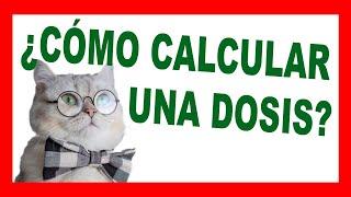 ¿CÓMO CALCULAR LA DOSIS por PESO de Medicamentos en PERROS Y GATOS?