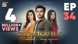 Dil Hi Tou Hai Episode 34 | Ali Ansari | Zoya Nasir | 10 Nov 2023 | ARY Digital