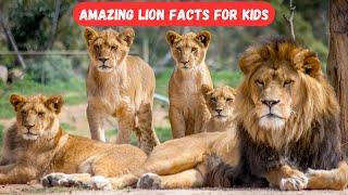 Amazing Lion Facts for Kids | Fun & Educational Wildlife Video  #EducationalVideo #TopKidsZone