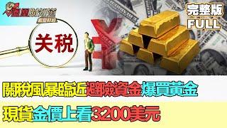 【鳳凰財經日報】關稅風暴臨近避險資金爆買黃金 湯麗鴻：現貨金價上看3200美元惟慎防高位回吐 加息預期推動日元轉強 #關稅戰 #特朗普 #金價 #加息 #日元