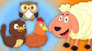 animali suono canzone | rime in italiano | i Versi degli Animali per bambini | Animals Sounds Song