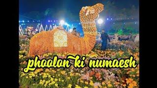 Jilani Park Lahore Flower Exhibition 2024 | Race Course Park phoolon ki numaesh 