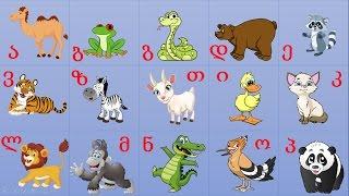Georgian Alphabet learning video for kids animals with voices lion bear duck @ Chakotv