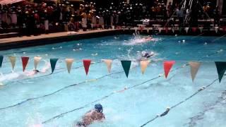 Swimming Gala 2015