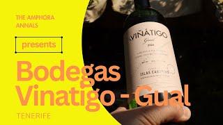 Bodegas Vinatigo, Gual ~ Tenerife ~ The Amphora Annals Presents Ep #014